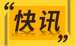 深圳一季度商事主体385.4万户 同比增长5.3%