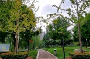 休閑娛樂好去處！深圳龍華區因地制宜打造公共休閑景觀