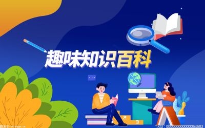 广东惠东发现“世界最神秘的鸟”：世界最神秘的鸟是什么鸟？竟然比大熊猫还稀有？