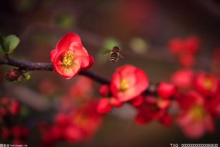 婚假包含双休日和节假日吗？婚假是领证多久后有效？