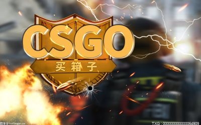 天天精选！csgo开箱一定会出东西吗？CSGO有哪些开箱网站？